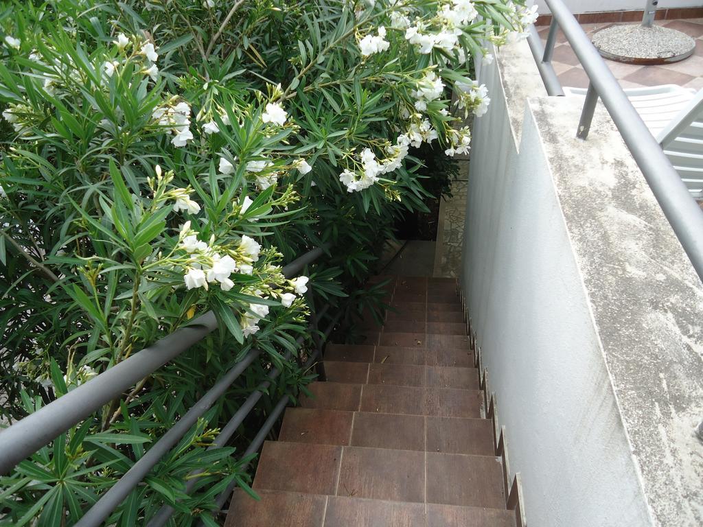 Apartments Ant Budva Phòng bức ảnh
