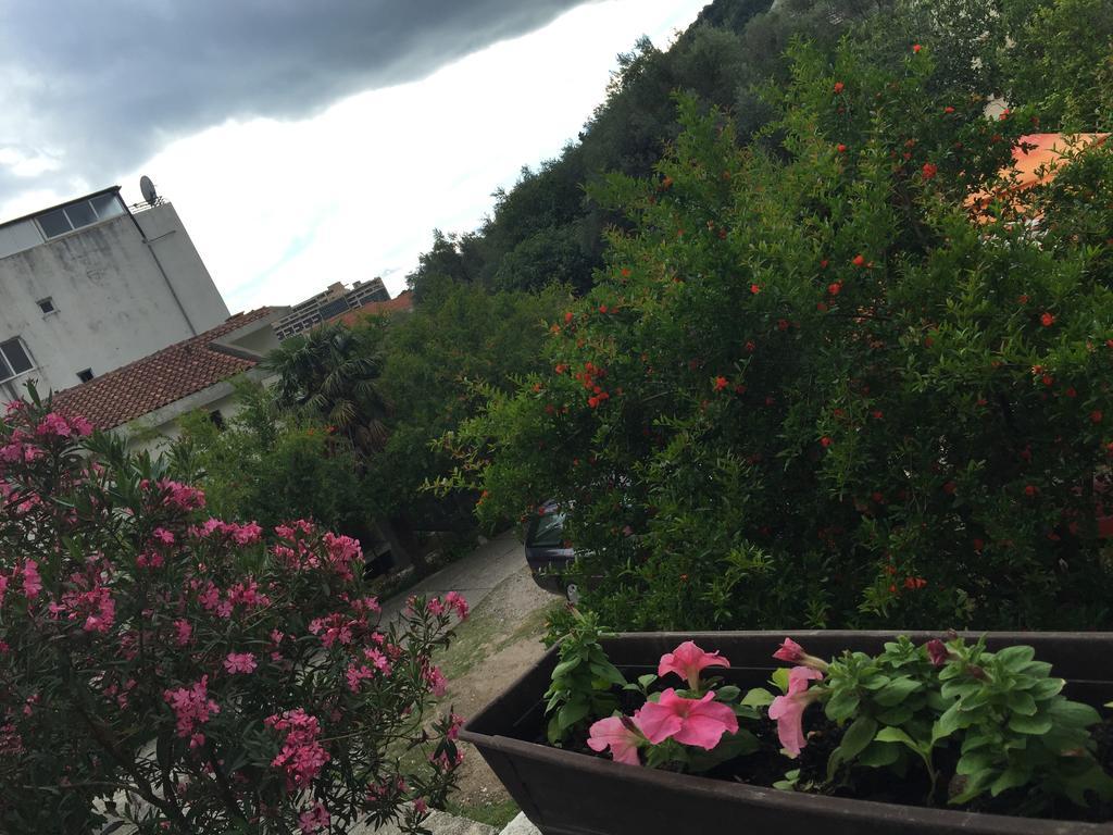 Apartments Ant Budva Ngoại thất bức ảnh